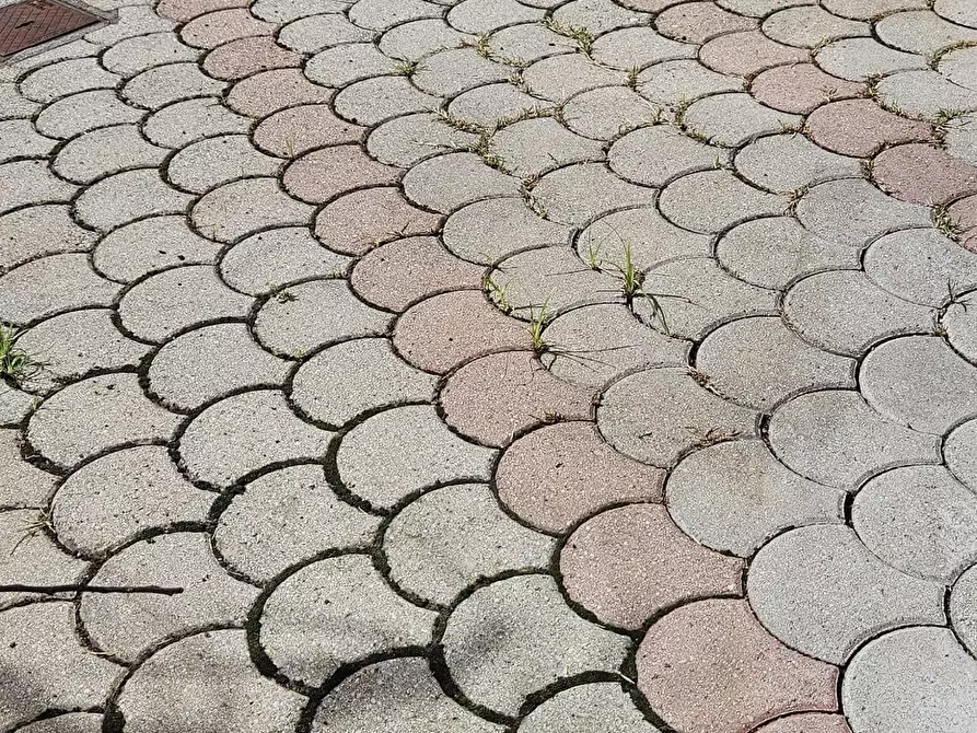 Immagine 21 di Casa indipendente in vendita  a Santa Maria A Monte