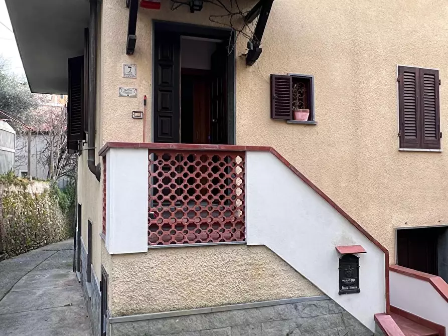 Immagine 3 di Terratetto in vendita  a Massa