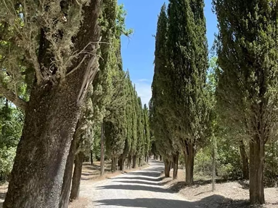 Immagine 11 di Appartamento in vendita  a Castelnuovo Berardenga