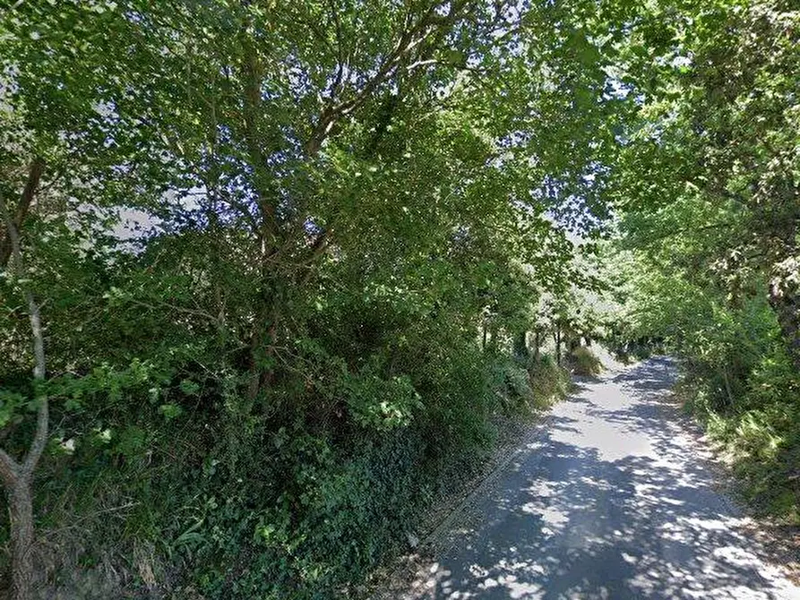 Immagine 25 di Casa trifamiliare in vendita  a Monteriggioni