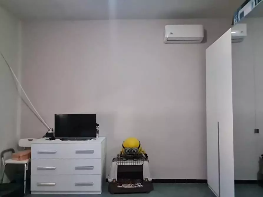 Immagine 19 di Appartamento in vendita  a Capannoli