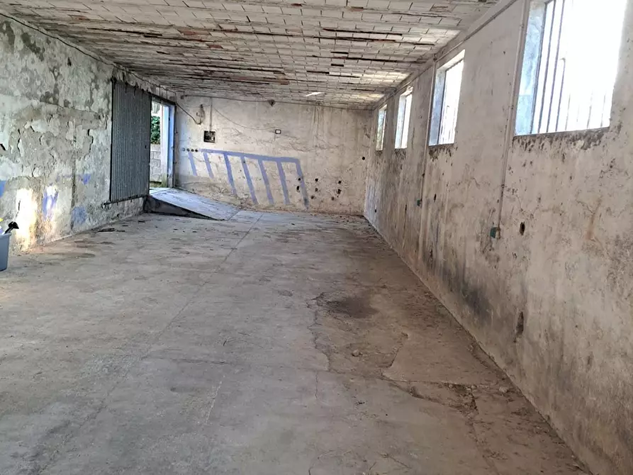 Immagine 40 di Appartamento in vendita  a Capannoli