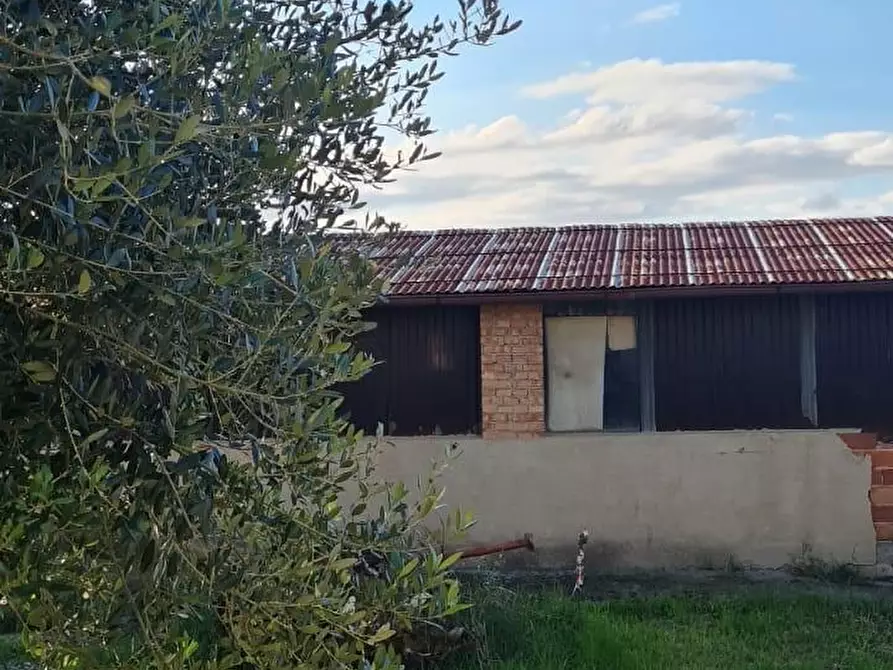 Immagine 56 di Appartamento in vendita  a Capannoli