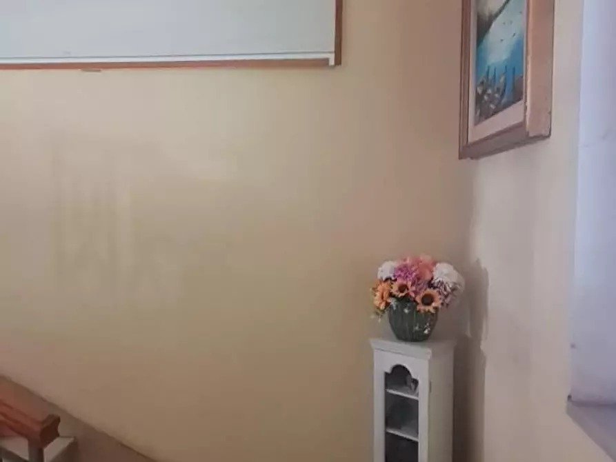 Immagine 31 di Appartamento in vendita  a Capannoli