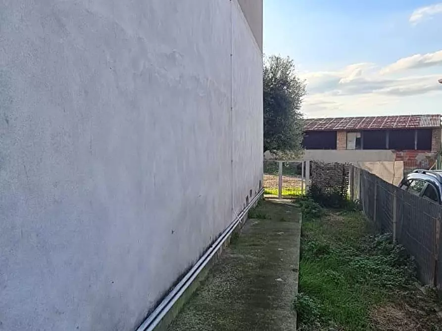 Immagine 53 di Appartamento in vendita  a Capannoli