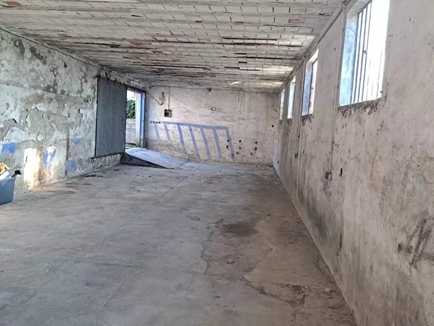 Immagine 42 di Appartamento in vendita  a Capannoli