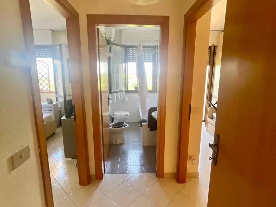 Immagine 8 di Appartamento in vendita  a Crespina Lorenzana