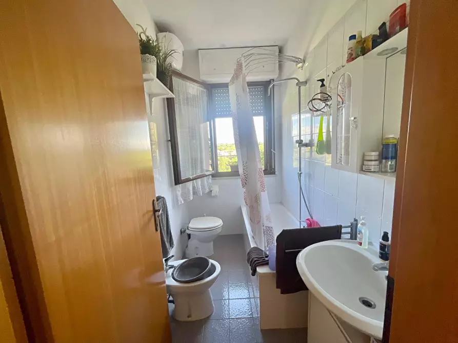 Immagine 12 di Appartamento in vendita  a Crespina Lorenzana