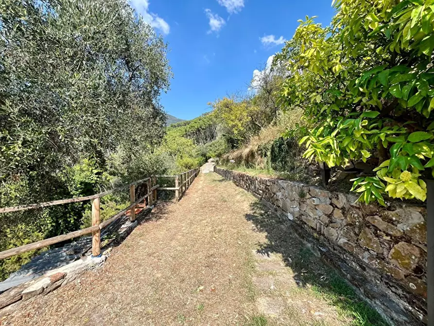 Immagine 19 di Casa indipendente in vendita  a Calci