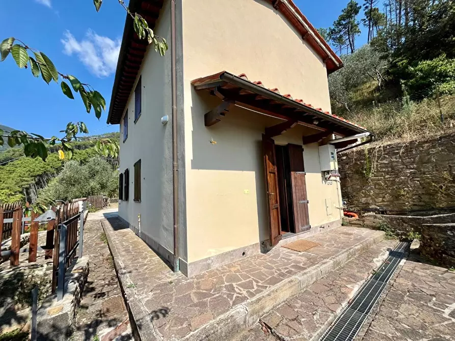 Immagine 20 di Casa indipendente in vendita  a Calci