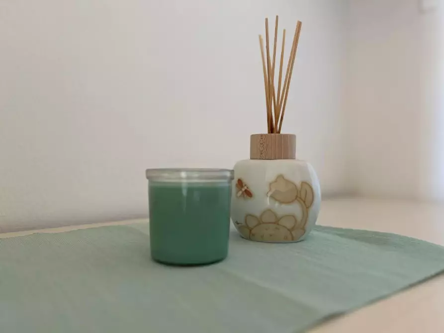 Immagine 33 di Appartamento in vendita  a Bibbona