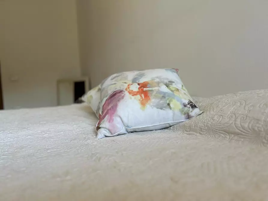 Immagine 39 di Appartamento in vendita  a Bibbona