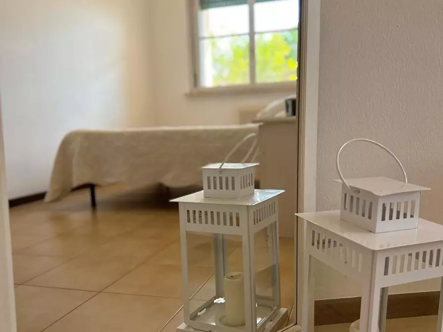 Immagine 42 di Appartamento in vendita  a Bibbona