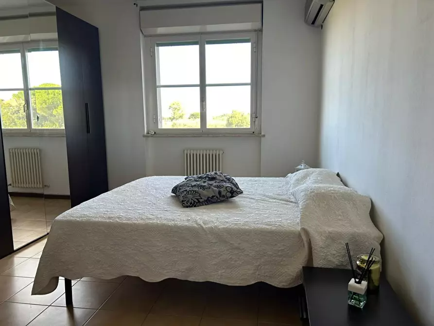 Immagine 25 di Appartamento in vendita  a Bibbona