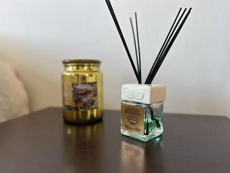 Immagine 23 di Appartamento in vendita  a Bibbona