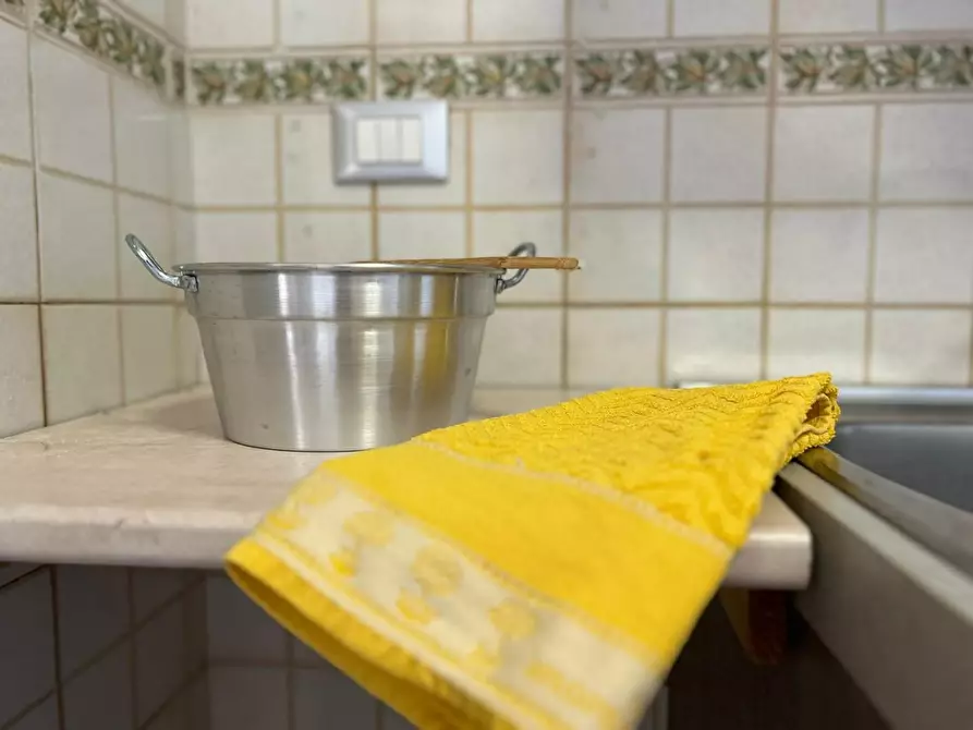 Immagine 60 di Appartamento in vendita  a Bibbona