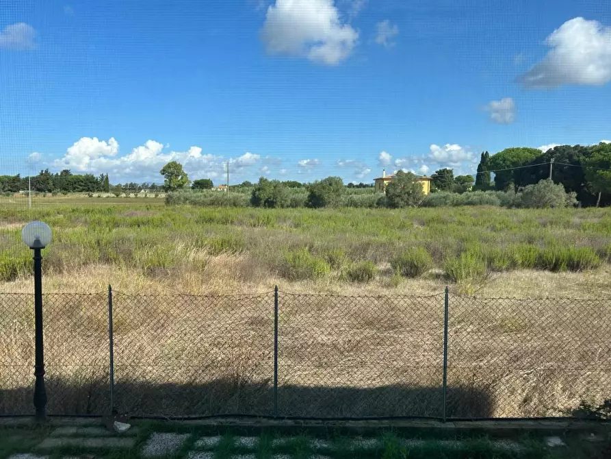 Immagine 27 di Appartamento in vendita  a Bibbona