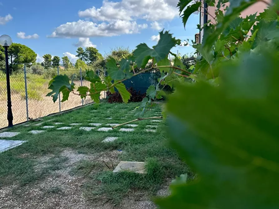 Immagine 66 di Appartamento in vendita  a Bibbona