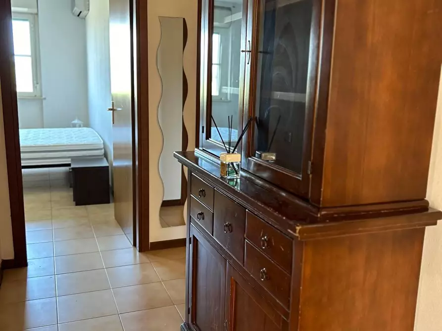 Immagine 43 di Appartamento in vendita  a Bibbona