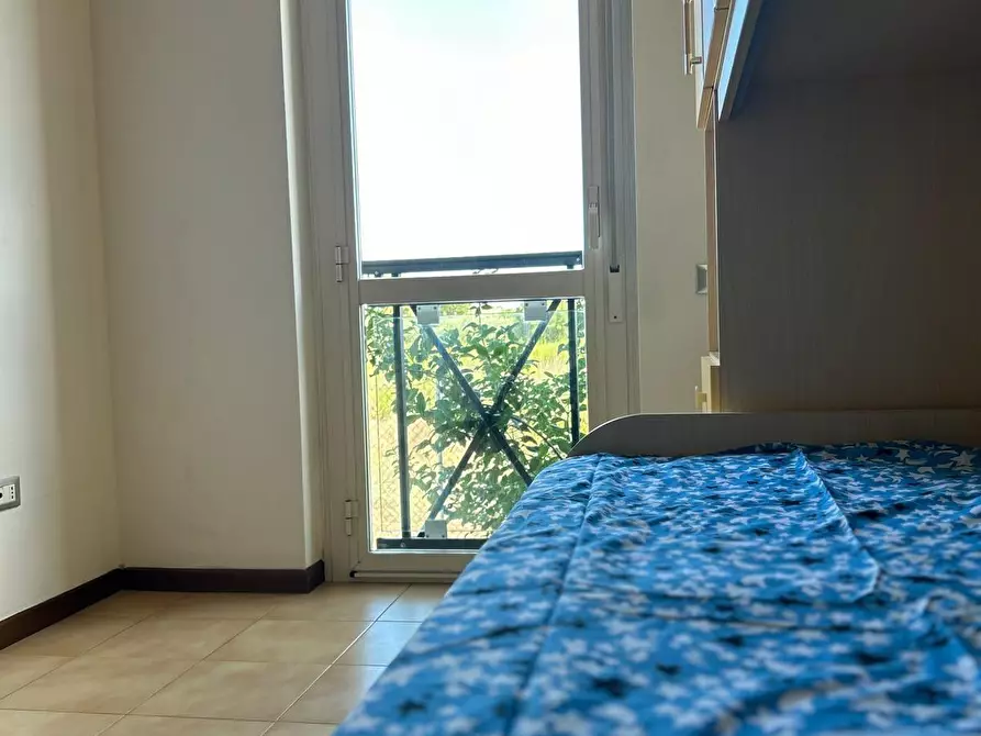 Immagine 32 di Appartamento in vendita  a Bibbona