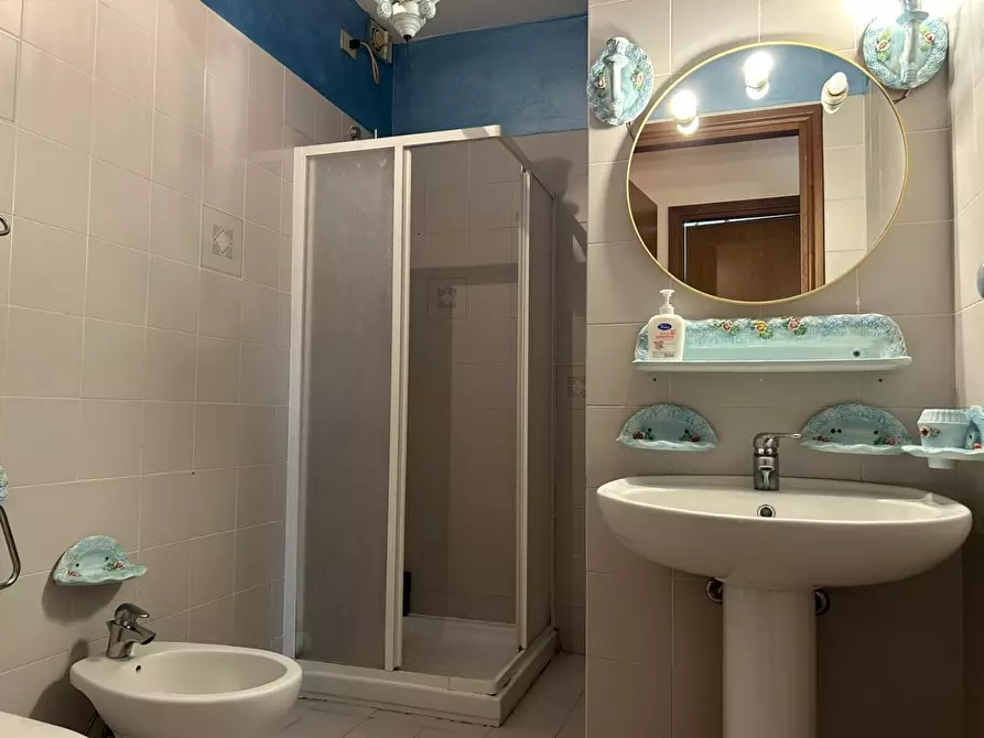 Immagine 45 di Appartamento in vendita  a Bibbona