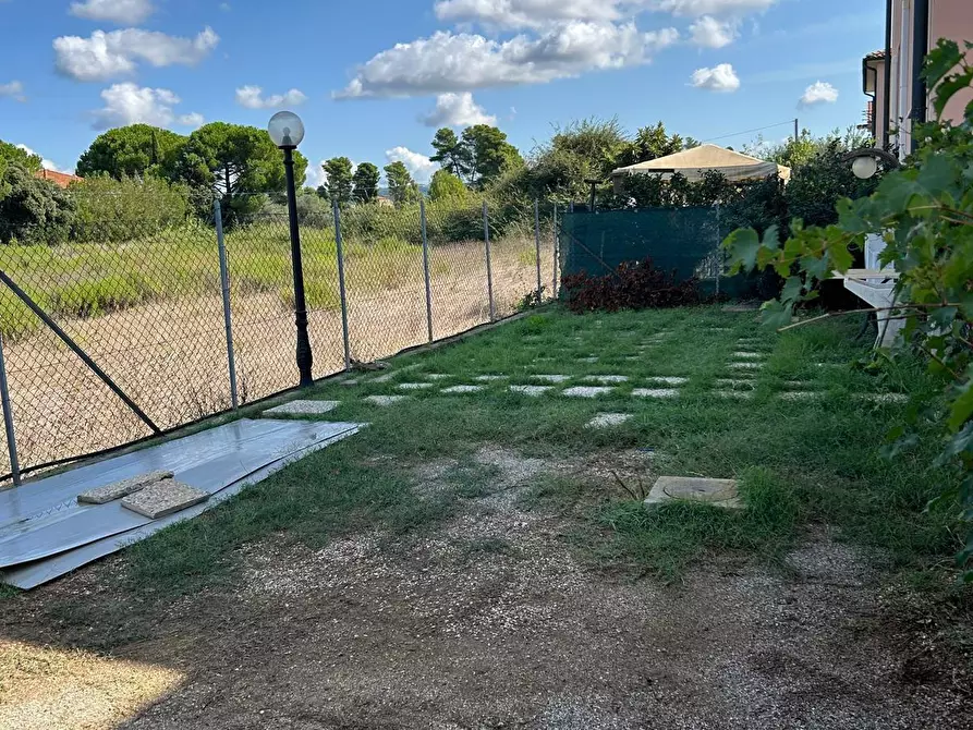 Immagine 65 di Appartamento in vendita  a Bibbona