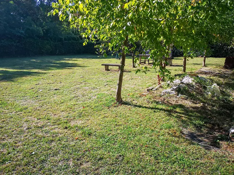 Immagine 28 di Villa in vendita  a Massa