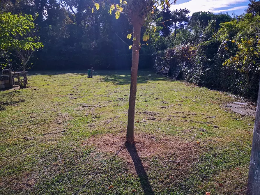 Immagine 31 di Villa in vendita  a Massa