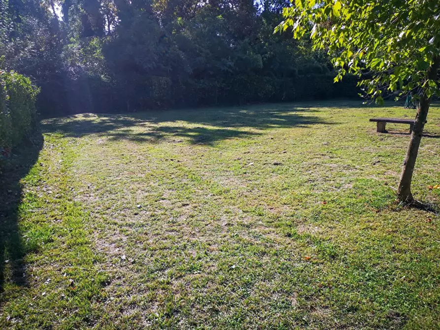 Immagine 27 di Villa in vendita  a Massa