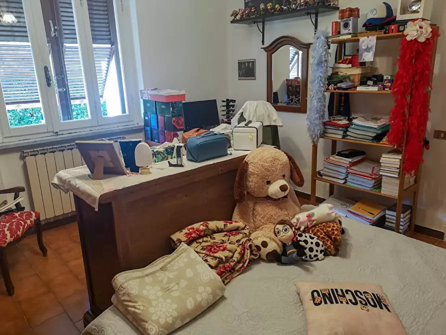 Immagine 11 di Villa in vendita  a Massa