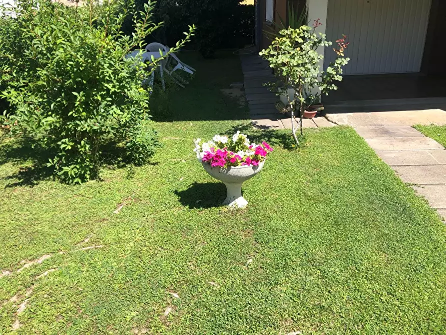 Immagine 5 di Appartamento in vendita  a Castelfranco Di Sotto