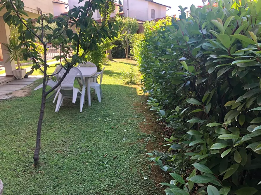 Immagine 2 di Appartamento in vendita  a Castelfranco Di Sotto