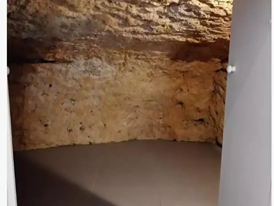 Immagine 10 di Casa semindipendente in vendita  a Bibbona