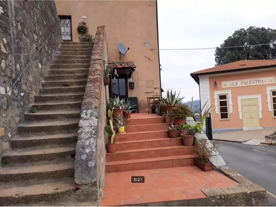 Immagine 3 di Casa semindipendente in vendita  a Bibbona