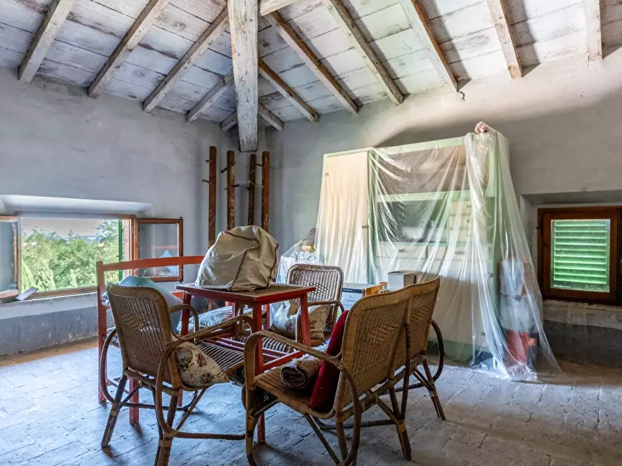 Immagine 46 di Villa in vendita  a Terricciola