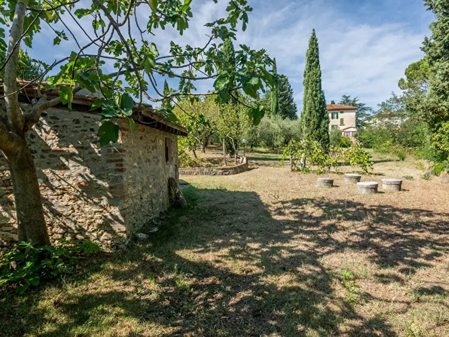 Immagine 72 di Villa in vendita  a Terricciola