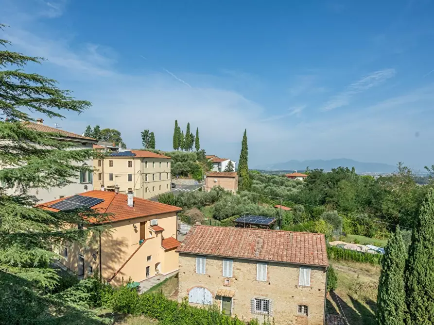 Immagine 55 di Villa in vendita  a Terricciola