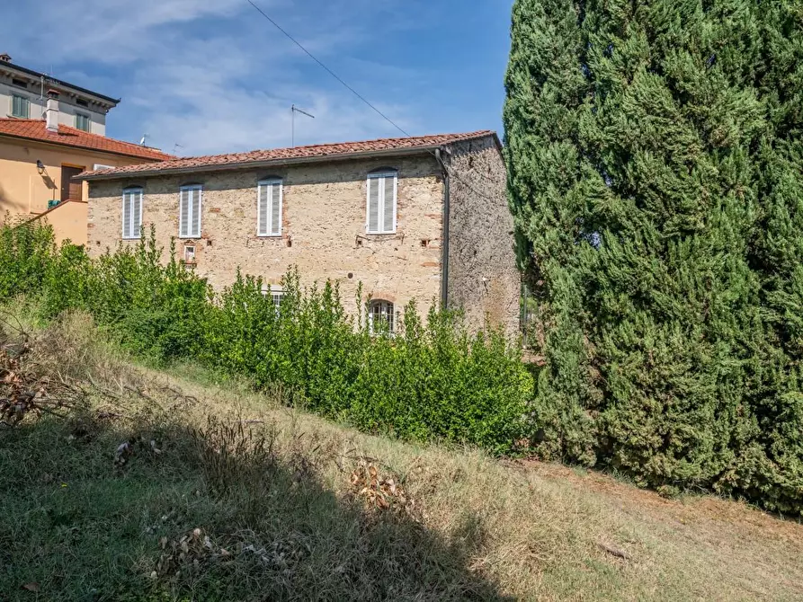 Immagine 56 di Villa in vendita  a Terricciola
