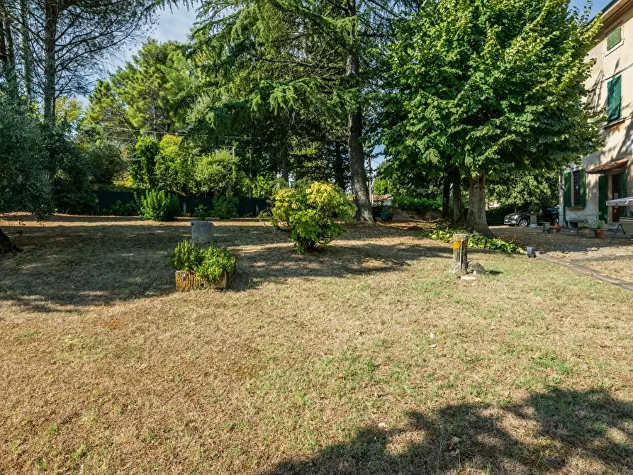 Immagine 77 di Villa in vendita  a Terricciola