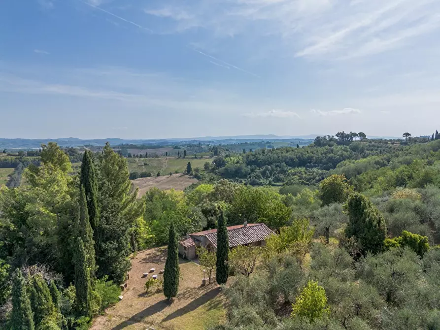 Immagine 62 di Villa in vendita  a Terricciola