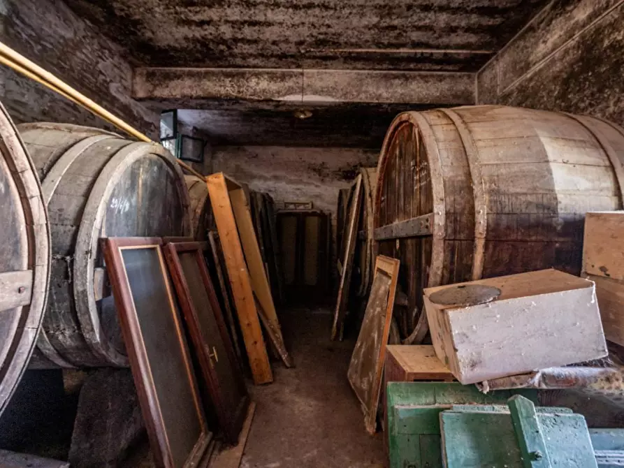 Immagine 52 di Villa in vendita  a Terricciola