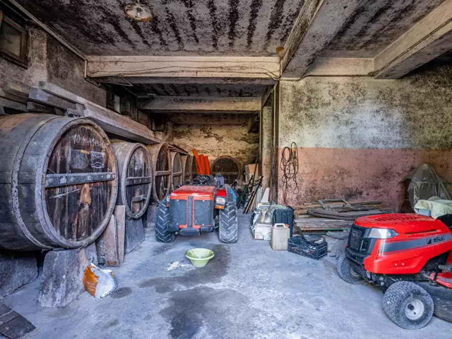 Immagine 51 di Villa in vendita  a Terricciola