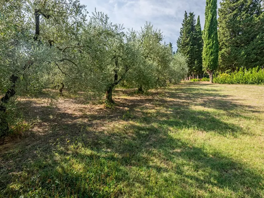 Immagine 78 di Villa in vendita  a Terricciola