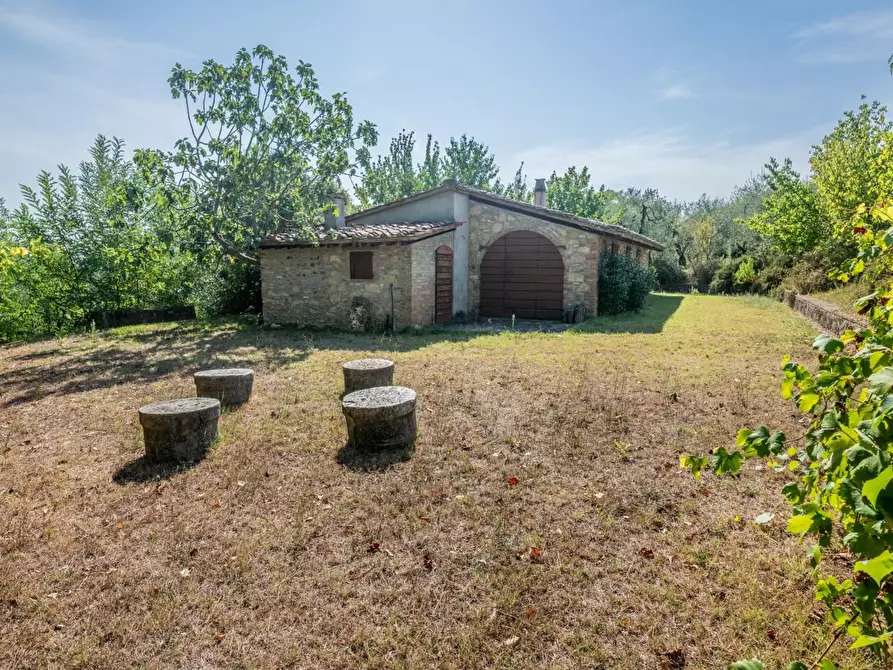 Immagine 63 di Villa in vendita  a Terricciola
