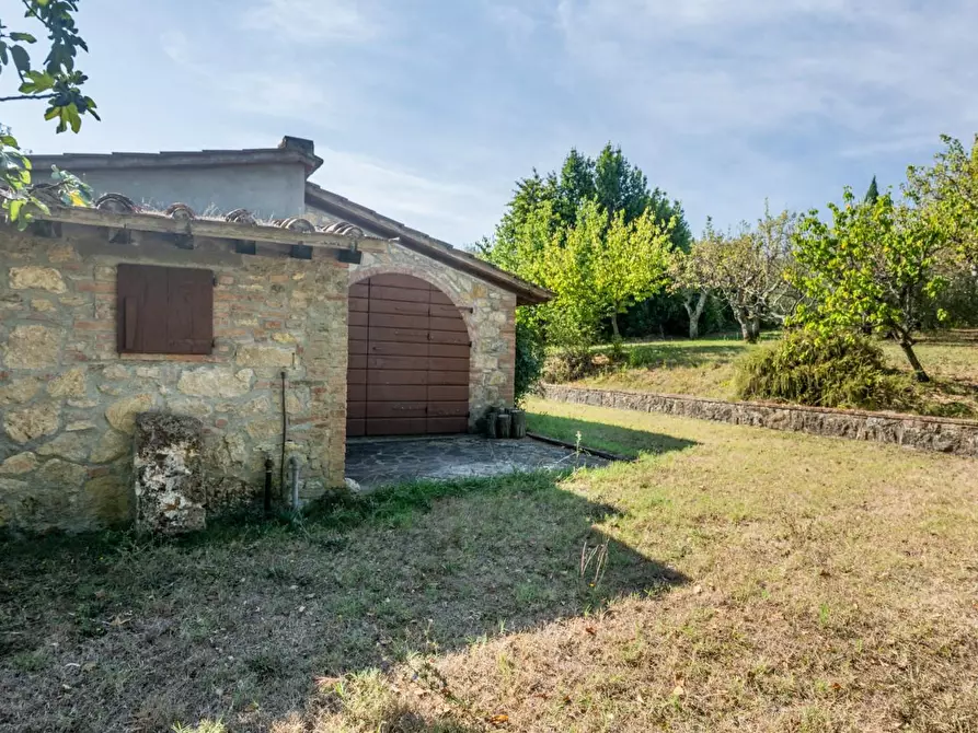 Immagine 65 di Villa in vendita  a Terricciola