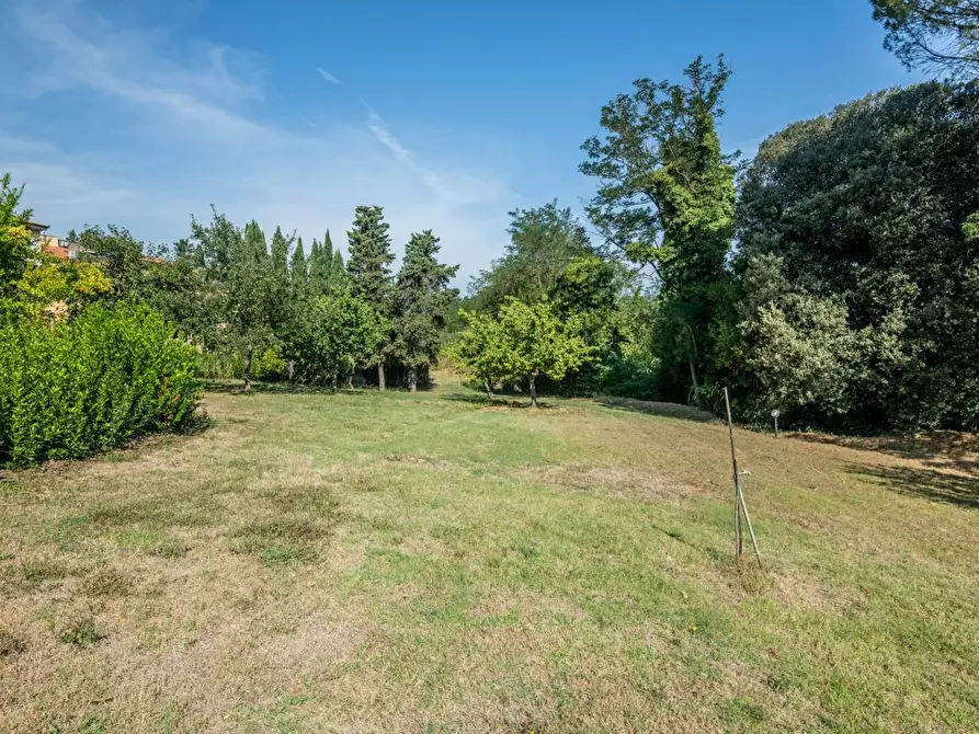 Immagine 75 di Villa in vendita  a Terricciola