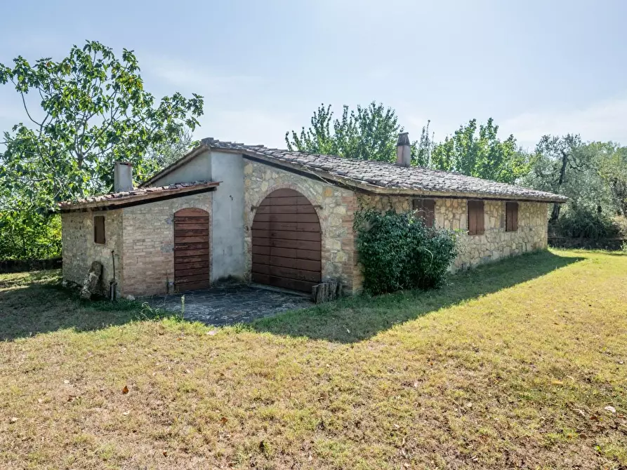 Immagine 64 di Villa in vendita  a Terricciola