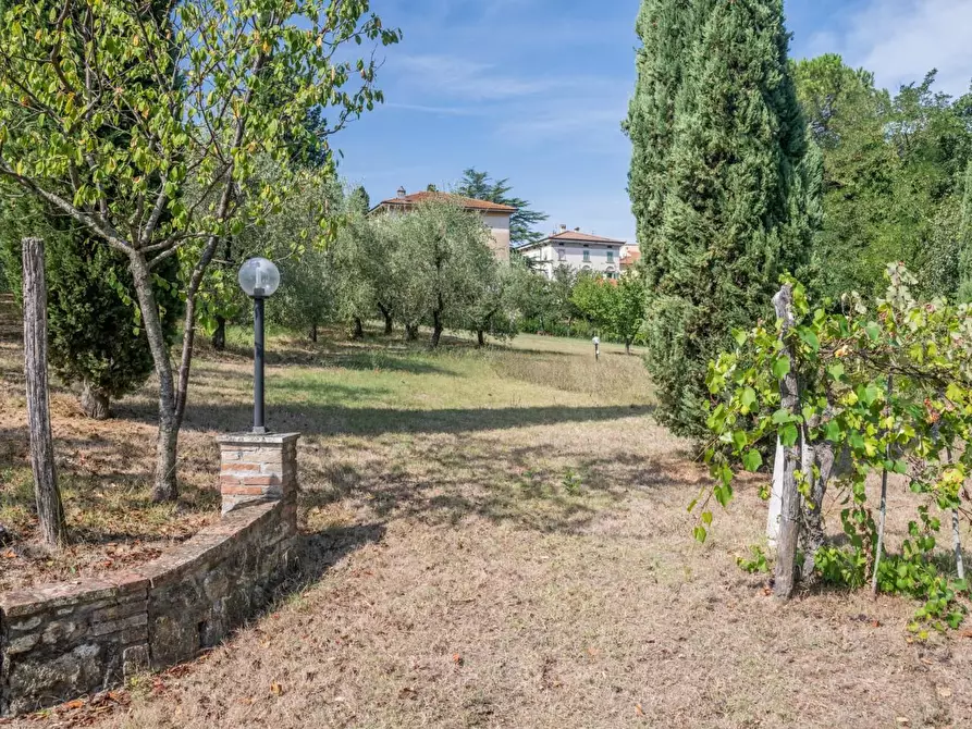 Immagine 73 di Villa in vendita  a Terricciola
