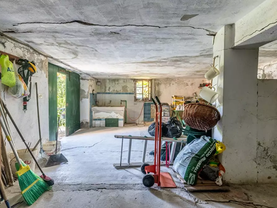 Immagine 50 di Villa in vendita  a Terricciola