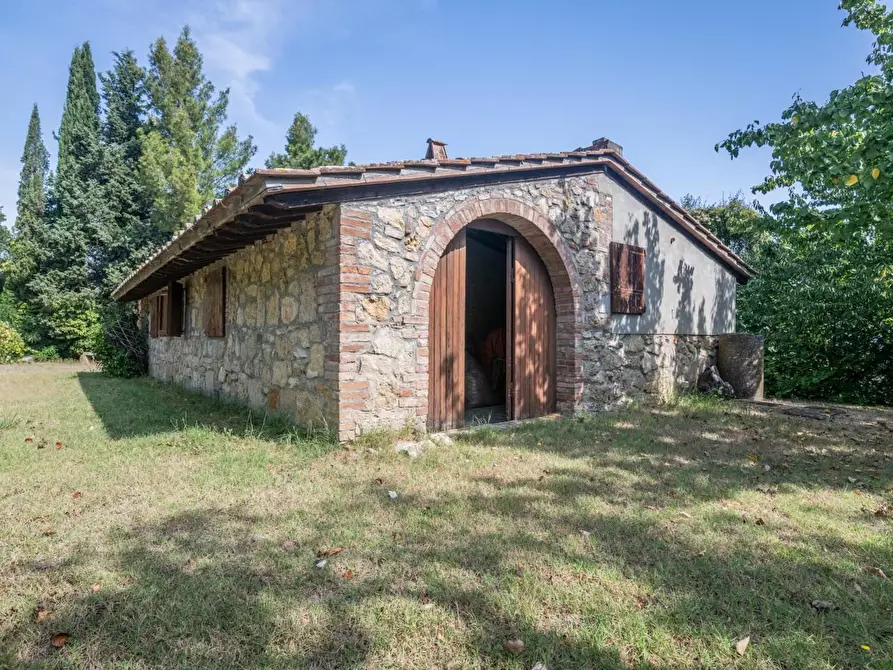 Immagine 70 di Villa in vendita  a Terricciola